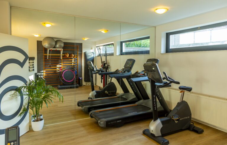 Fysio Masters Laren, oefenzaal, Matrix, fysiotherapie Laren, fysio Laren